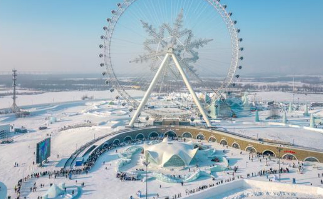 为何多国网友称想来哈尔滨(为什么哈尔滨的外国人很多)