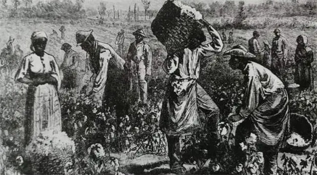 美国黑人奴隶制度究竟因何产生黑人奴隶生活有多悲惨呢(美国的黑人奴隶制度什么时候废除)