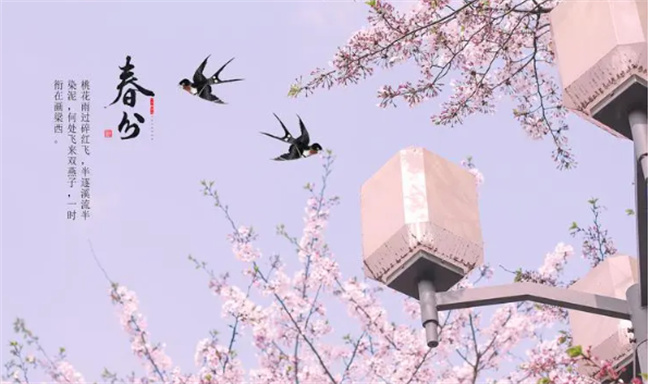 春分是什么意思春分后面的节气是什么(春分什么意思啊)