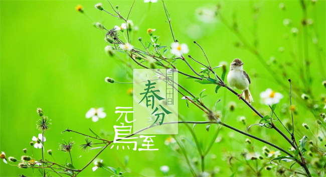 春分什么意思啊