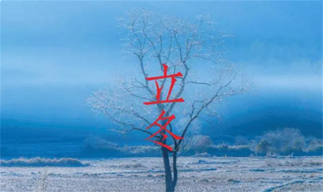 冬至和立冬有什么区别