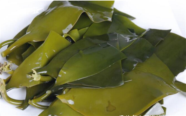 ​海带有什么营养价值为什么海带要尽量少吃(海带结营养价值)