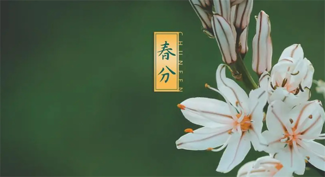 春分什么意思啊