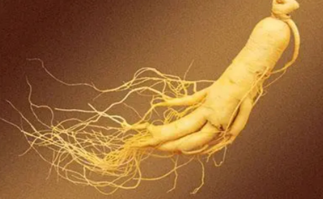 人参等三种原料纳入保健食品备案原料目录都哪三种(含有人参的保健品食品有哪些?)