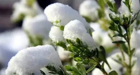 2024年阳历四月份冷不冷阳历四月天气有什么变化(2024年每个月份的天数)