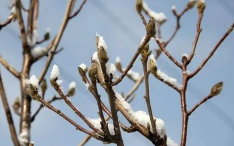 2024年每个月份的天数