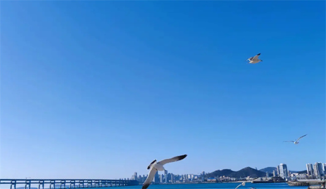 大连在哪个省市大连是山东省的吗(大连是不是属于山东省)