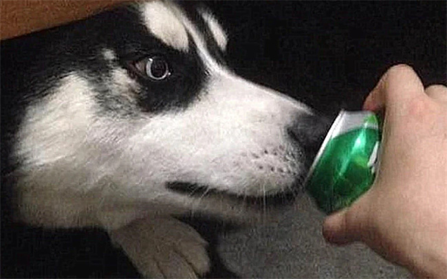 黄金能用酒精擦吗