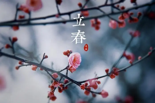 2024年打春在年前还是在年后2024年打春在年前吗(2024年有没有春)