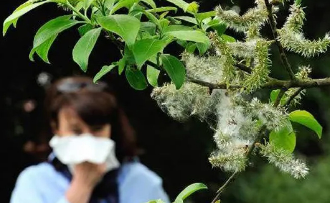 气象条件对药用植物的影响