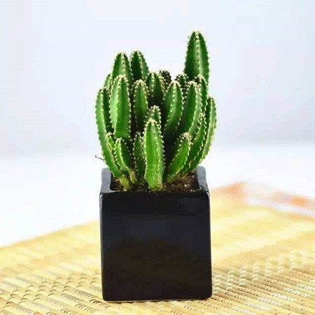 万重山变软是什么原因