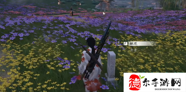 燕云十六声花海无颜奇遇怎么做