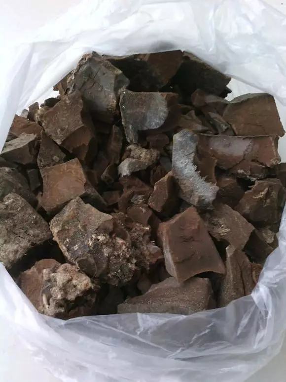 盆里埋滴油5天窜芽20天爆盆怎么回事
