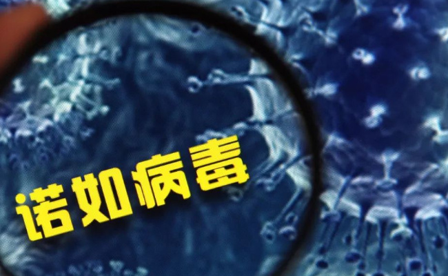 诺如病毒感染进入高发期国家疾控局提示如何做好防护(警惕诺如病毒进入高发期)
