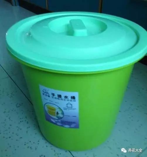 盆里埋滴油5天窜芽20天爆盆怎么回事