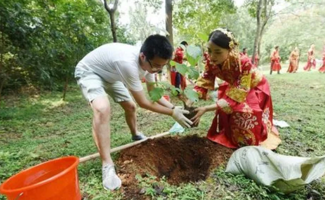 婚礼纪官网