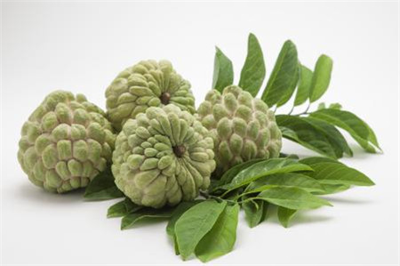 释迦果和番荔枝的区别是什么