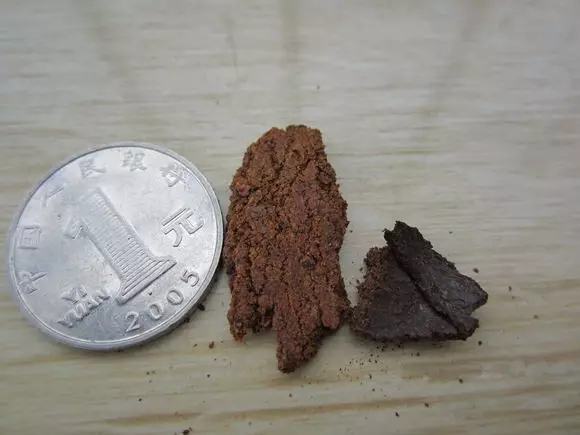 盆里埋滴油5天窜芽20天爆盆怎么回事
