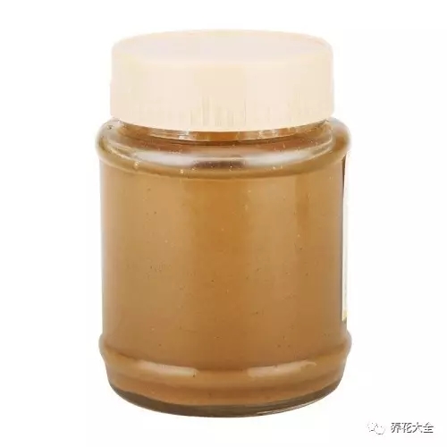 盆里埋滴油5天窜芽20天爆盆怎么回事