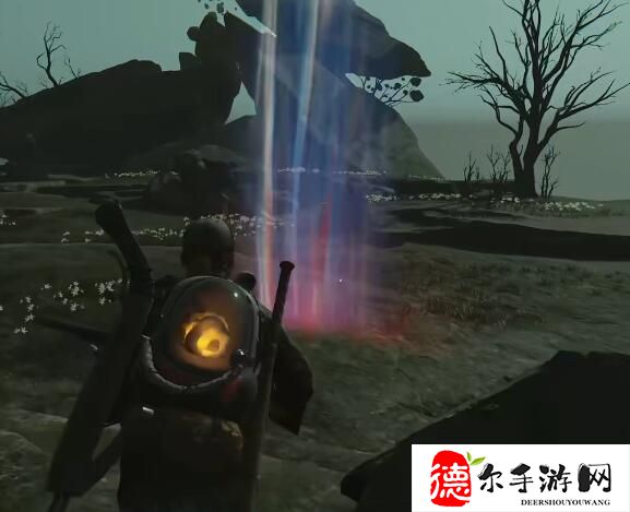 七日世界林中的呓语任务怎么做