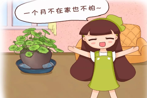 赶紧学会！传承50年的养花绝招即将失传！(养花经验窍门大全)
