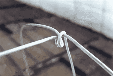 养花经验窍门大全
