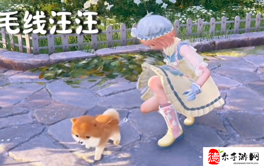 无限暖暖动物清洁是什么