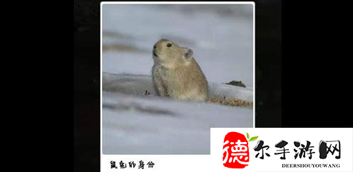 支付宝嘉塘保护地巡护答案是什么
