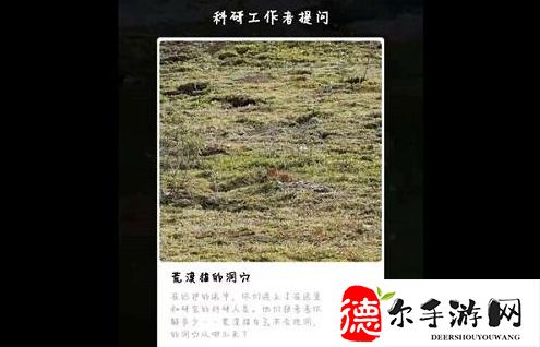 支付宝嘉塘保护地巡护答案是什么