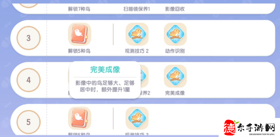心动小镇观鸟技巧是什么