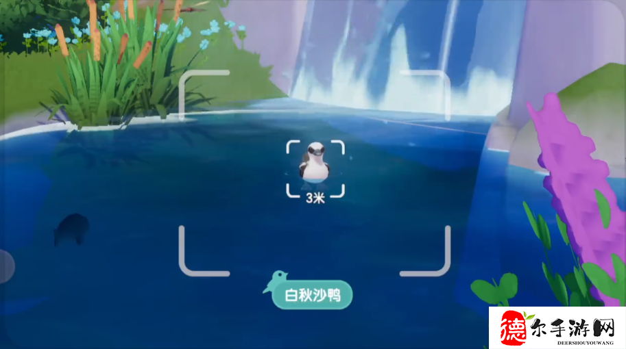 心动小镇观鸟技巧是什么