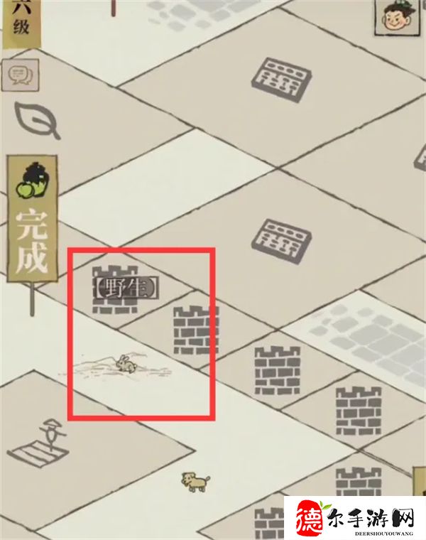 投食槽的动物在哪里抓