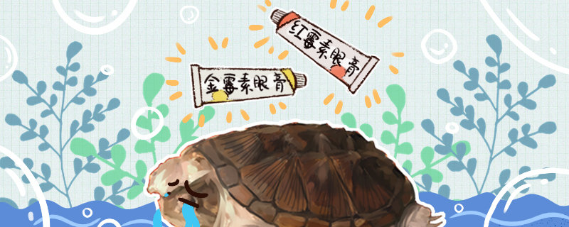 小鳄龟腐皮是什么原因怎么治疗(鳄龟腐皮该怎么办)