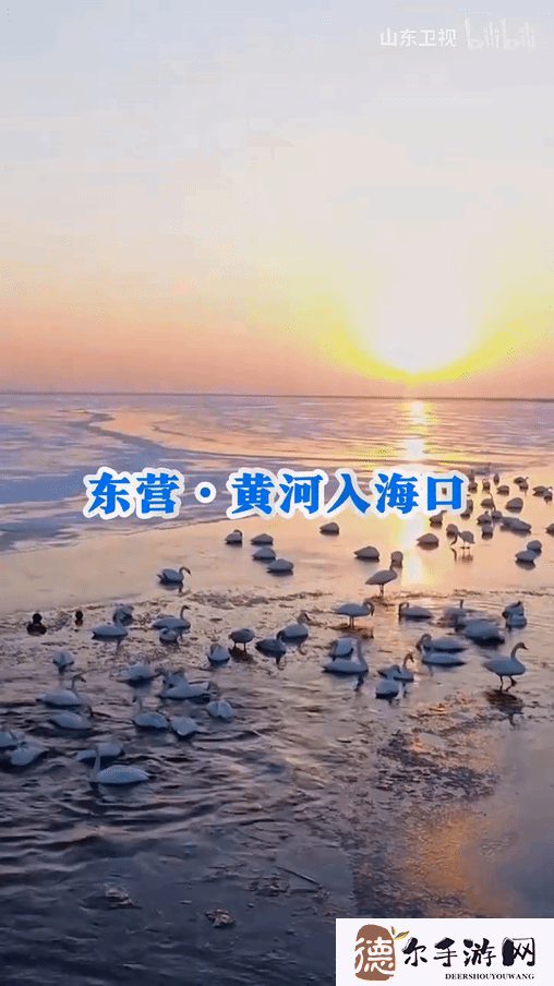 山东卫视《鸣潮》七夕整活
