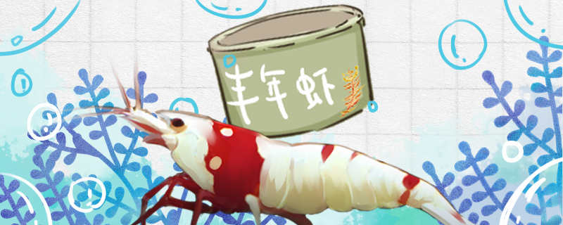 水晶虾吃藻吗吃丰年虾吗(水晶虾会吃藻吗)