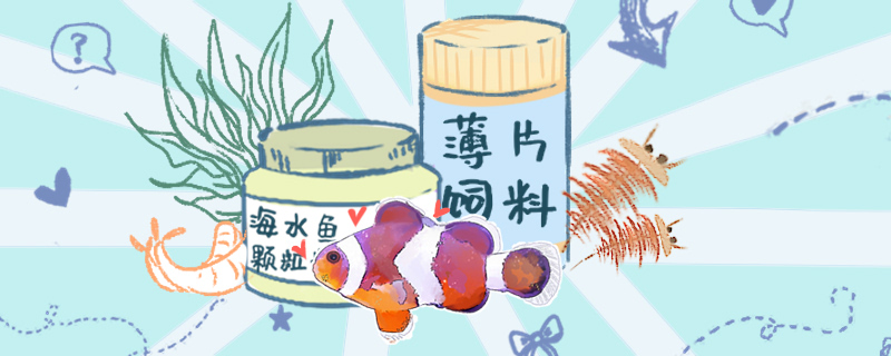 观赏鱼多久喂一次食三天喂一次可以吗(观赏鱼几天喂一次饲料)
