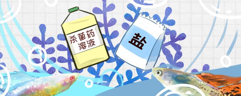 孔雀鱼病的症状孔雀鱼病的治疗办法(孔雀鱼病大全)