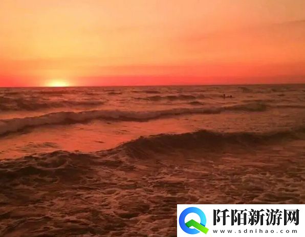 WindowsChannel视频内容分享与特色分析