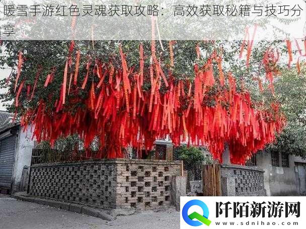暖雪手游红色灵魂获取攻略
