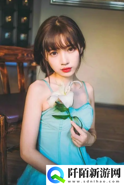 wordpress成品网站