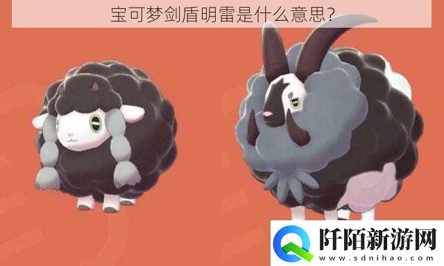 宝可梦剑盾明雷是什么意思