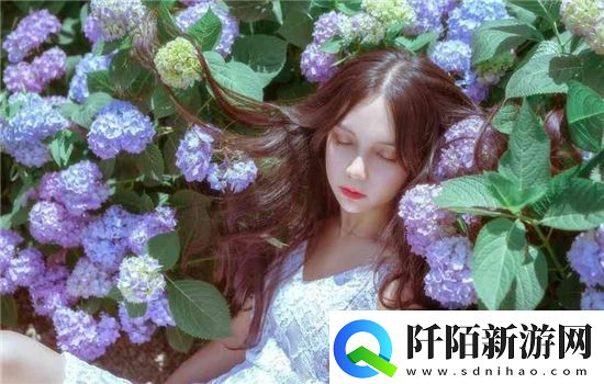 B站推广网站入口2024的推广形式:B站推广网站入口的新形式