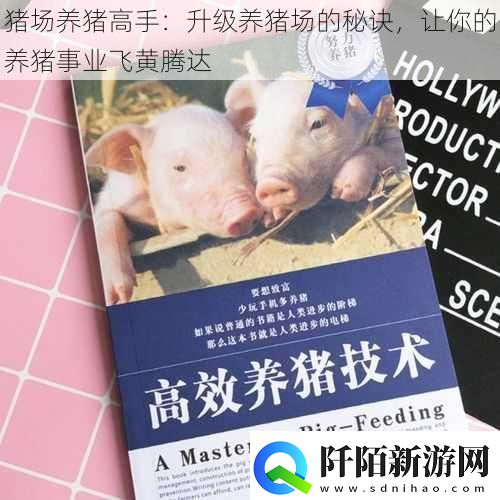 猪场养猪高手