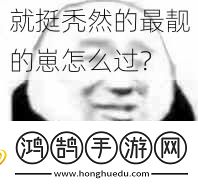 就挺秃然的最靓的崽怎么过