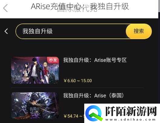 ARise充值中心