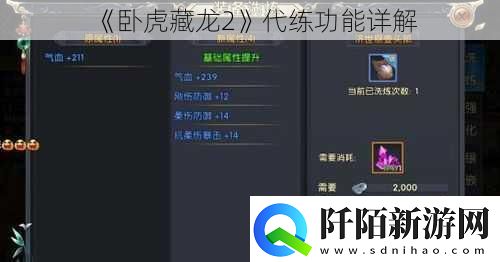 卧虎藏龙2代练功能详解