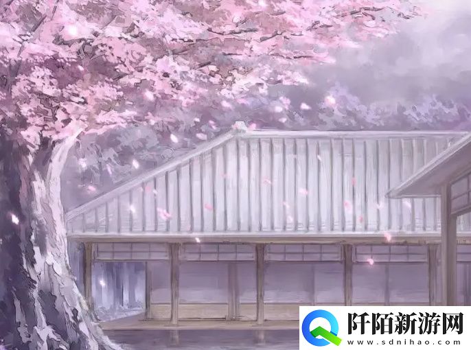 关于10款成品短视频APP下载安装的推荐与分析