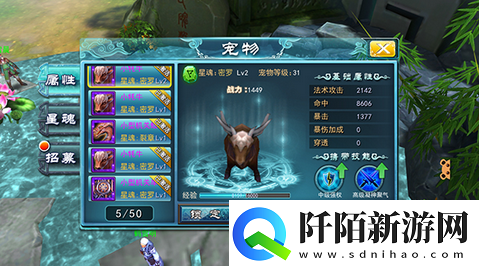 九州无双宠物系统大揭秘