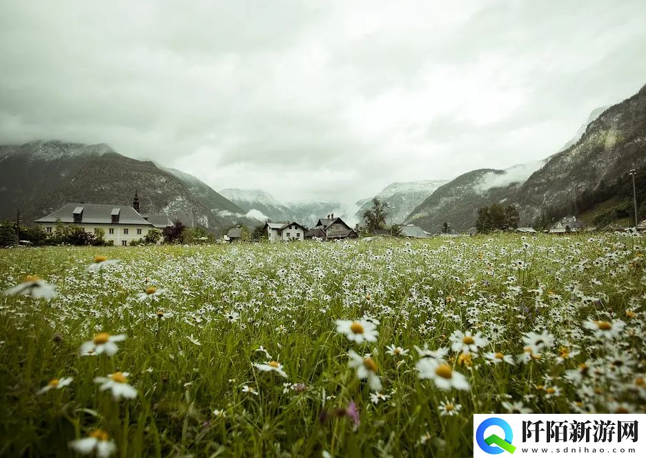 关于ysl千人千色t9t9t9t9t9mba