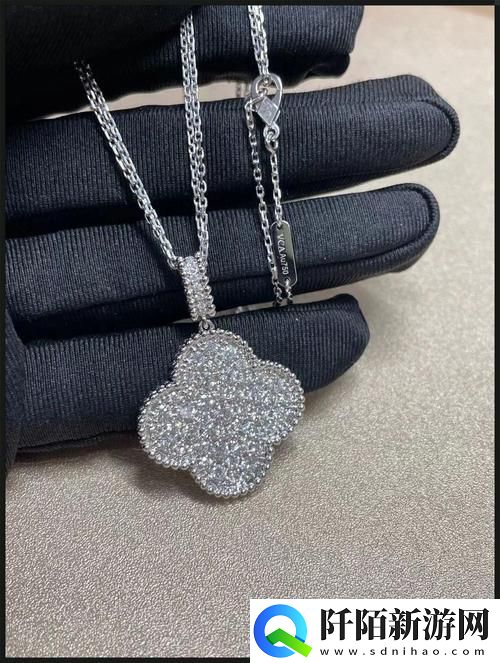 "jb632583四叶草项链vca750